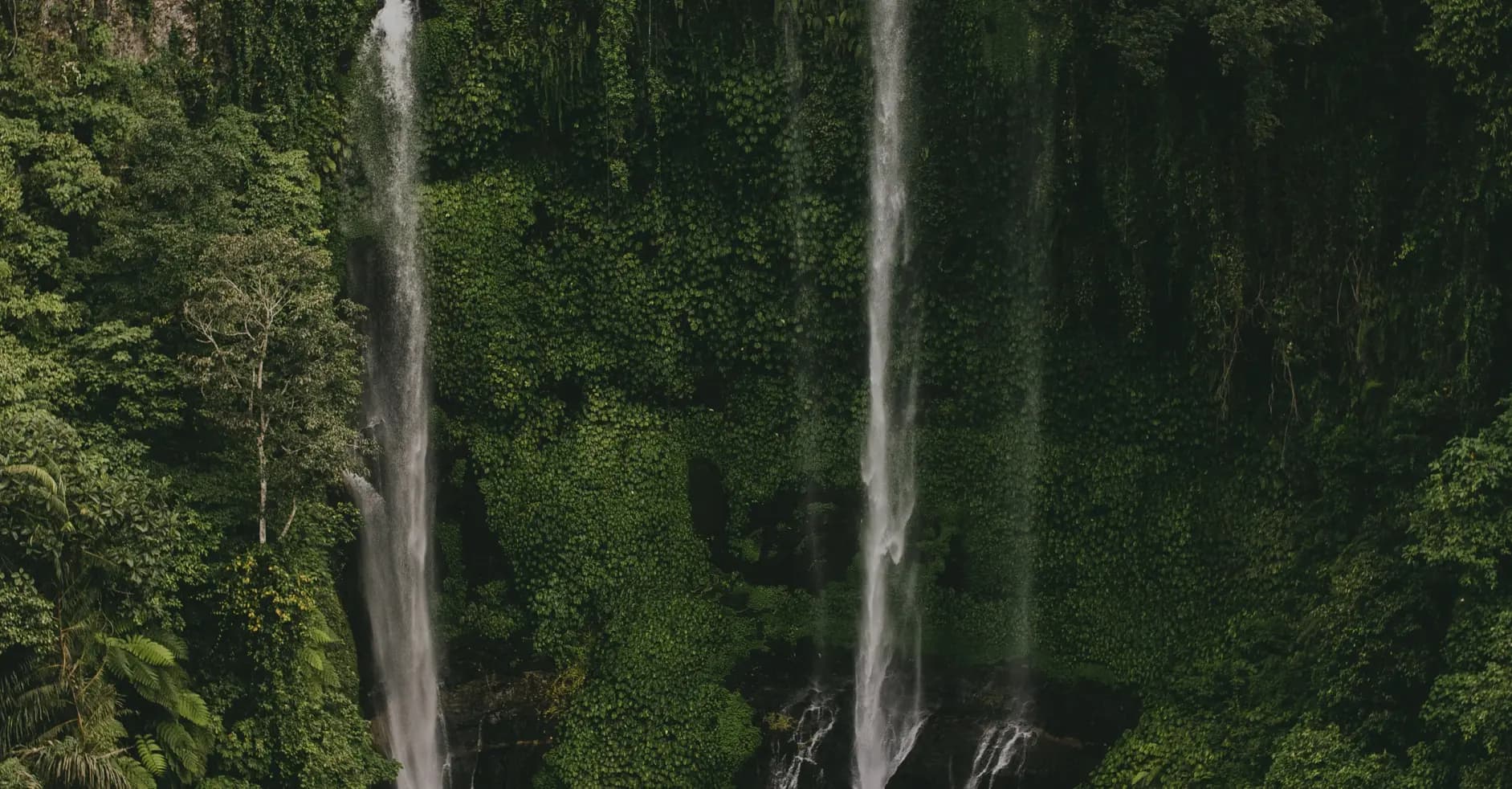 North Bali Waterfall Tour - Gallery Image 2