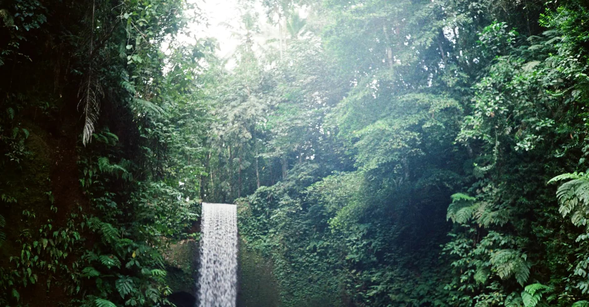 North Bali Waterfall Tour - Gallery Image 4